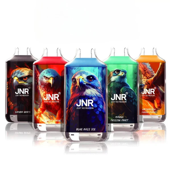 (10 PCS) JNR Falcon-X 18000 18K Puffs Disposable Vape