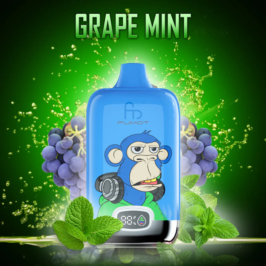 Fumot RandM Digital Box 12000 Disposable Vape 20mg Wholesale Grape Mint
