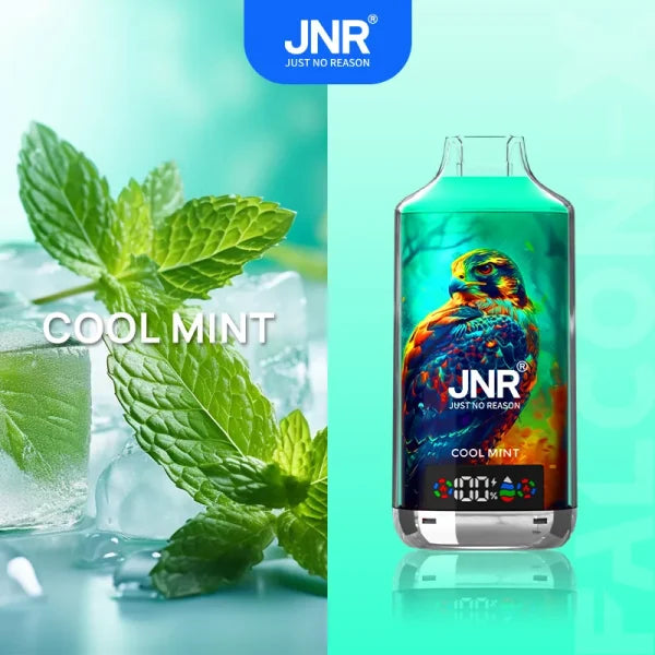 JNR Falcon-X 18000 18K Puffs Disposable Vape 20mg Wholesale Cool Mint